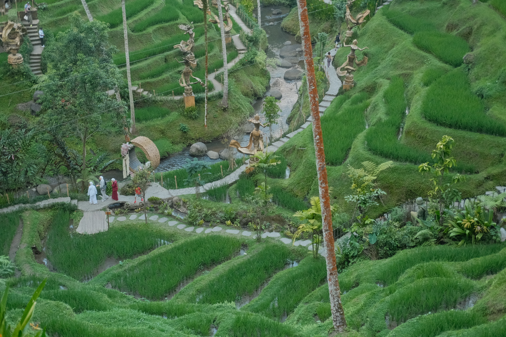 scenery photograph